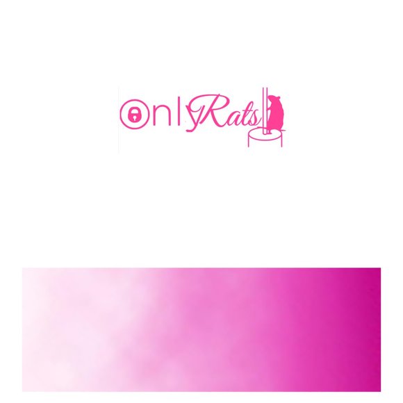 Only Rats- Funny Rats Vinyl Decals Car, Laptop, Windows, Phone Case Sticker - Picture 7 of 14